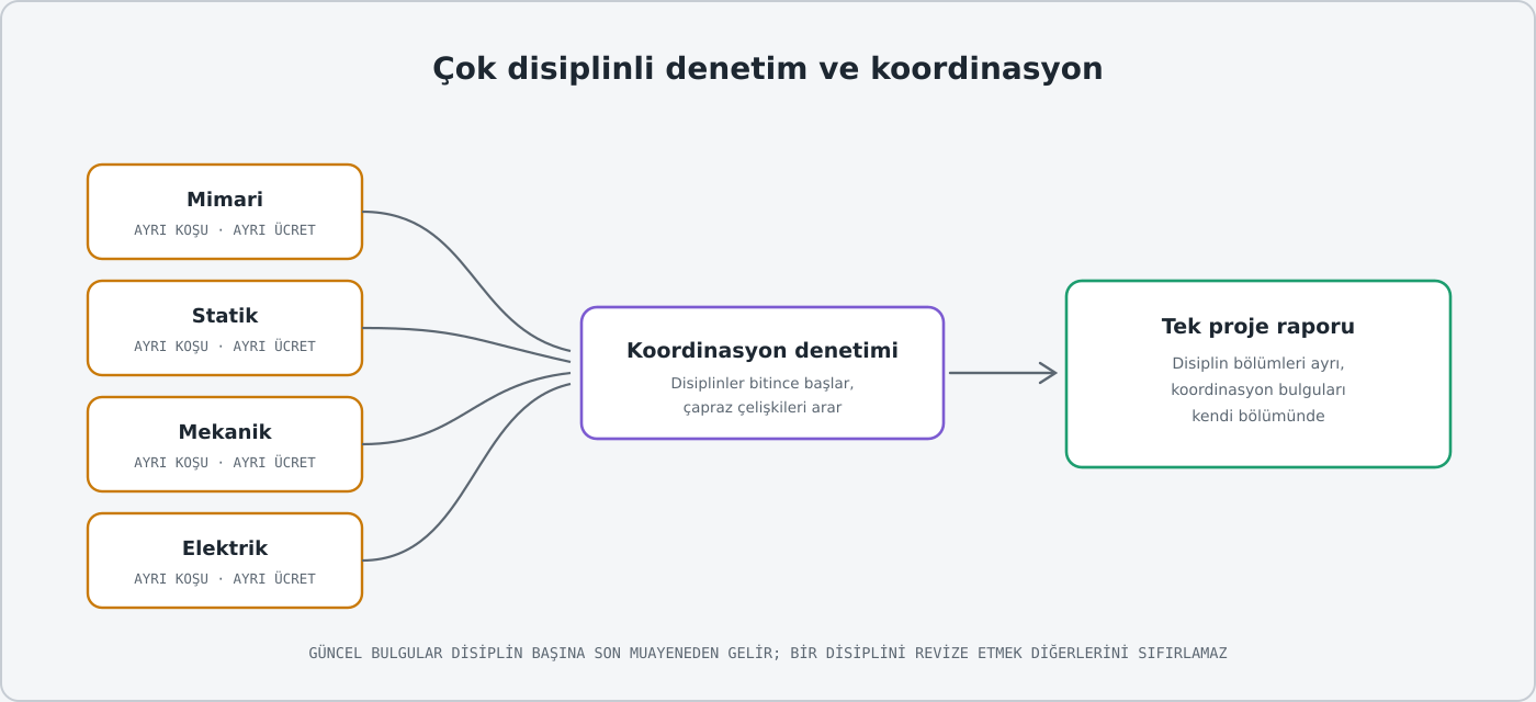 Disiplin koşuları ve koordinasyonun akışı